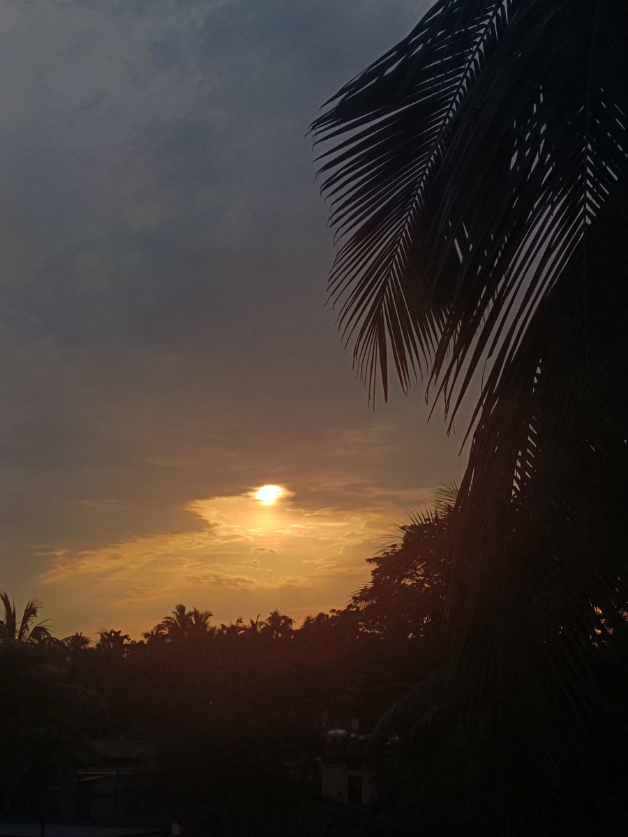 iya ☄️ tweet media