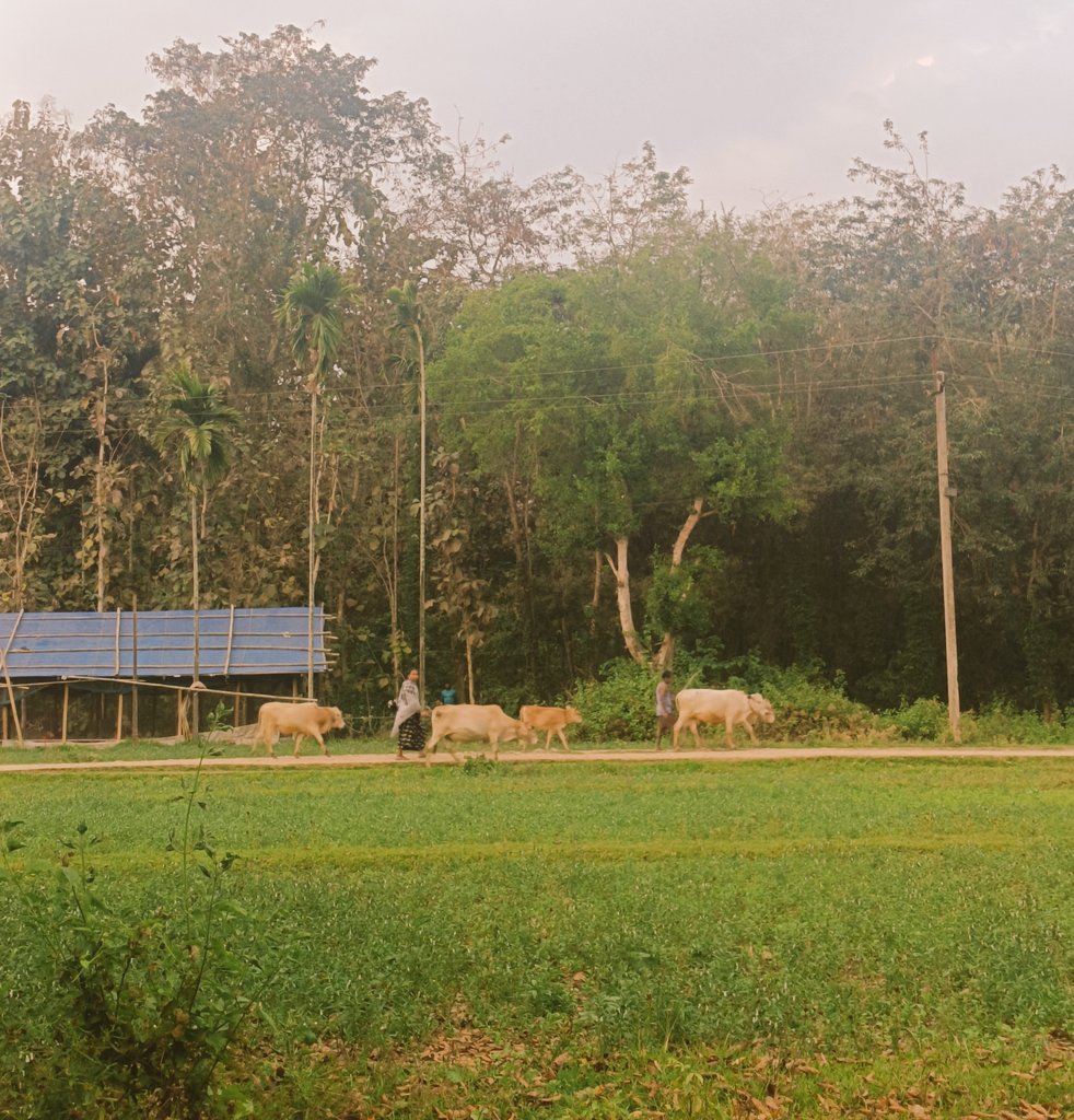 iya ☄️ tweet media