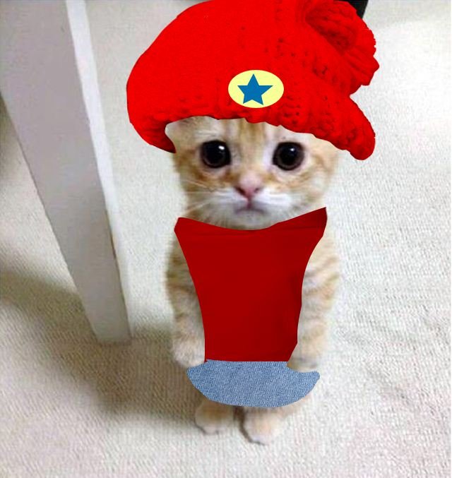 AdamleeAlvizo's tweet photo. Everyone! Here's the first look at Netflix's live-action adaptation of Gatito! Starring Tom Holland as the titular cat! Coming April 1st! https://t.co/SCO33rav2f