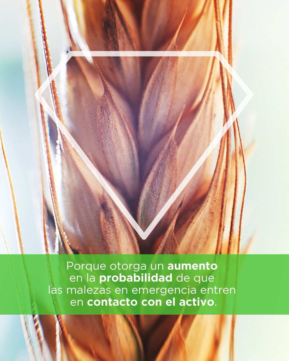 Summit Agro Argentina tweet media