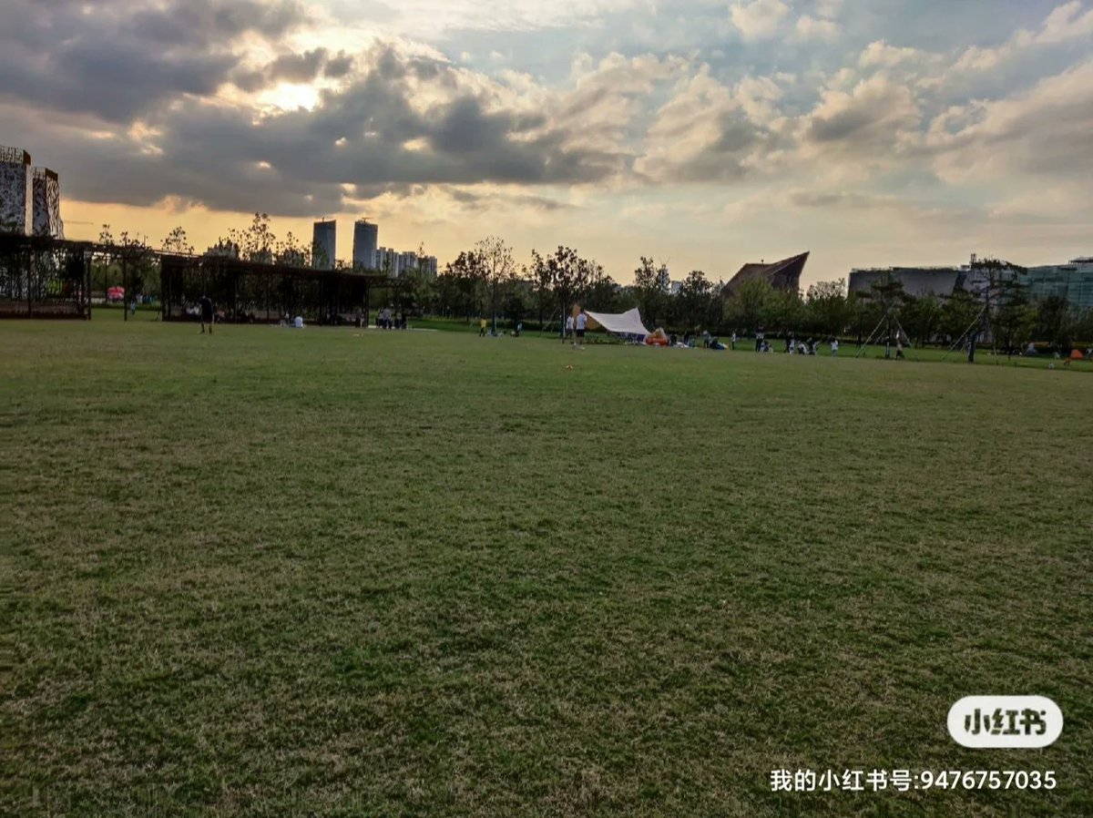 mandistrunk tweet media