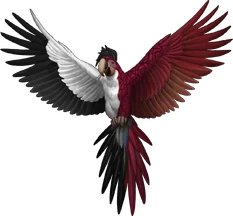 Nic #joesar au / sdol (2/7) tweet media