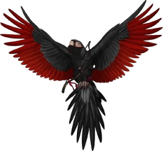 Nic #joesar au / sdol (2/7) tweet media