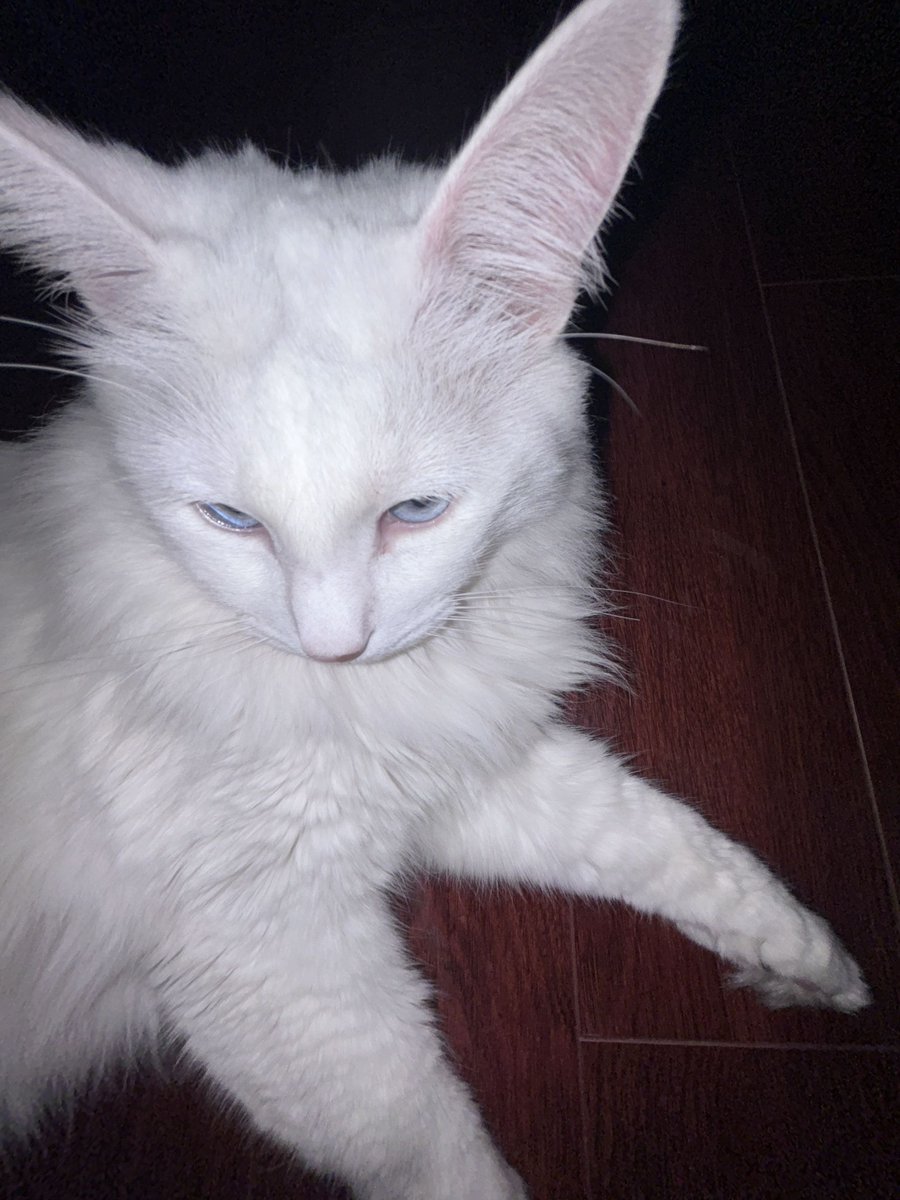 MSI Gaming USA tweet media