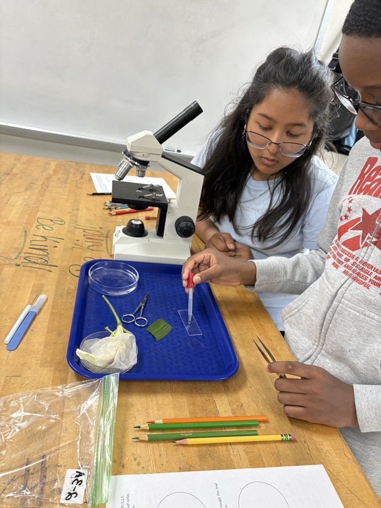 pwh105's tweet photo. 6th grade science learning about adaptations, specifically flower adaptations.  Thank you to Eckert Florist for donating the lilies!   We appreciate your generosity! https://t.co/ajkEkUCwQ2