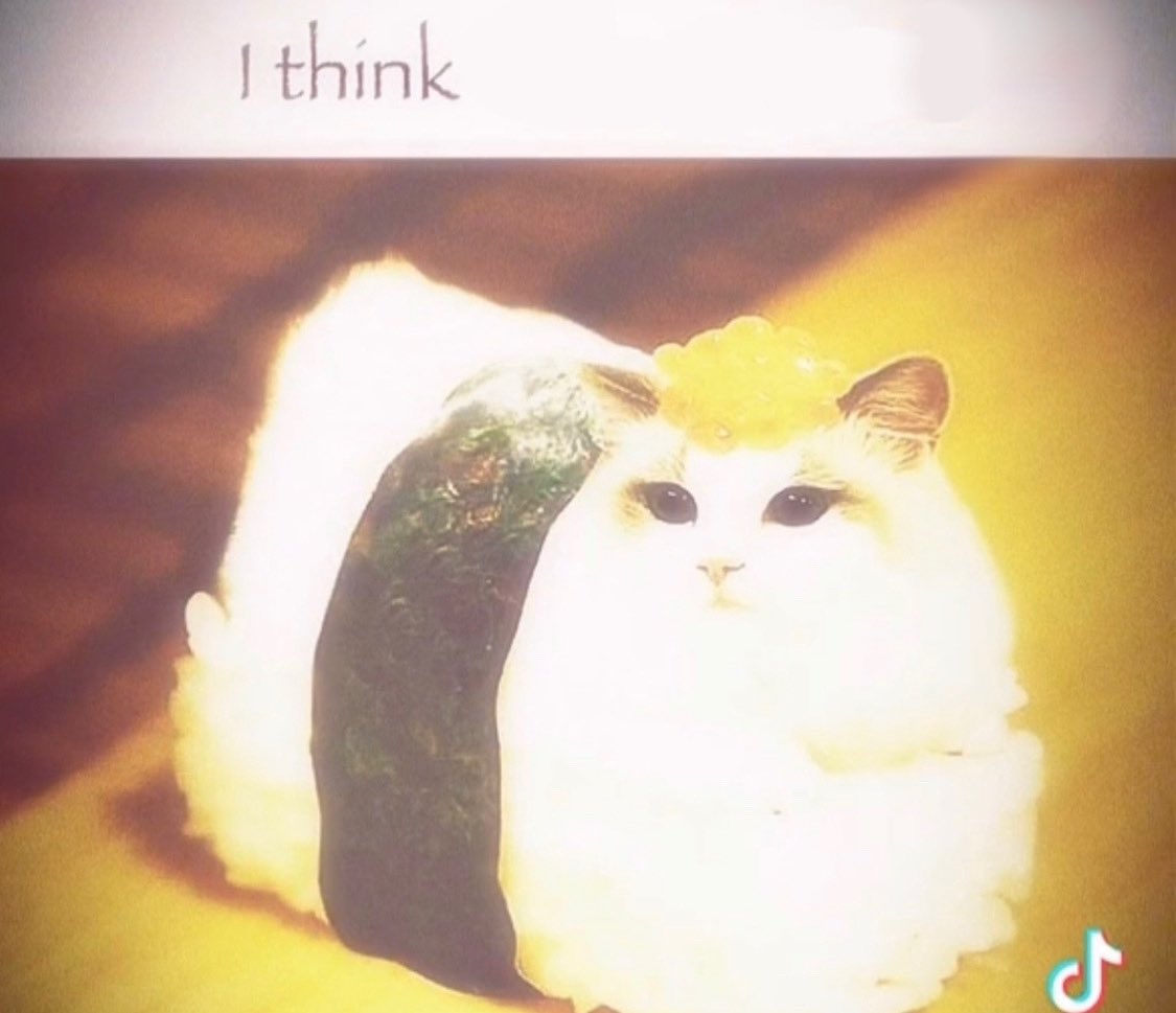 wizard dungeonquest 3 worldwide Friend tweet media