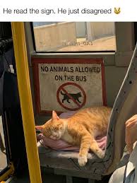 Jackson Pollack tweet media