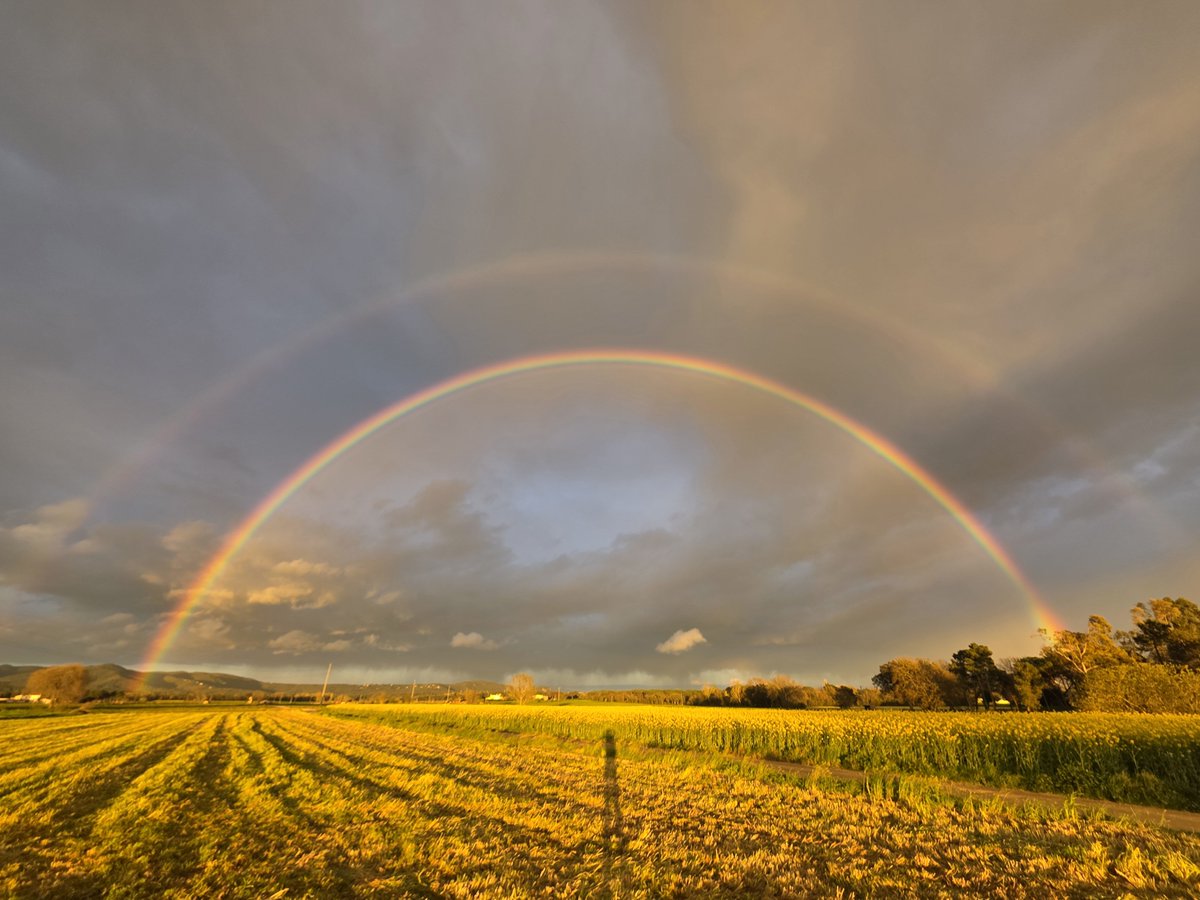 Marc Gassó Torrents tweet media