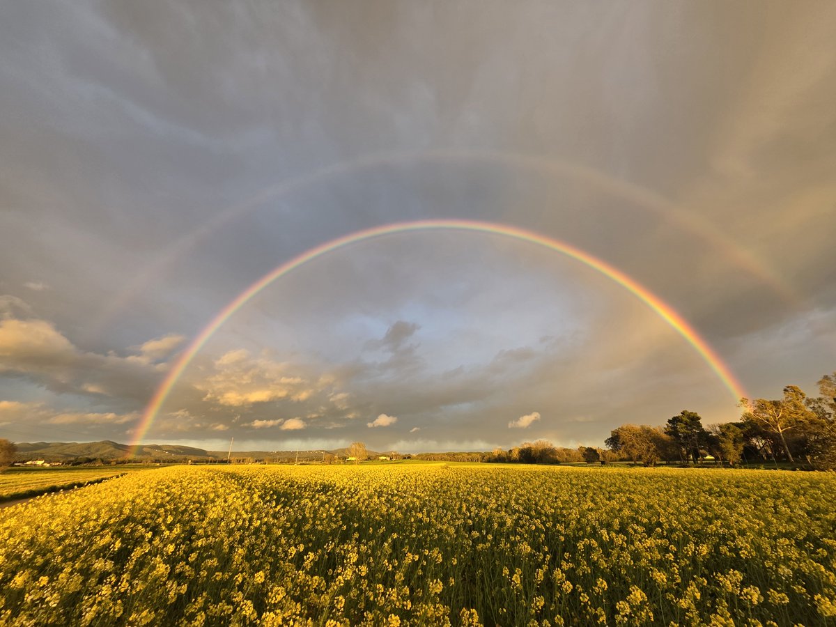 Marc Gassó Torrents tweet media