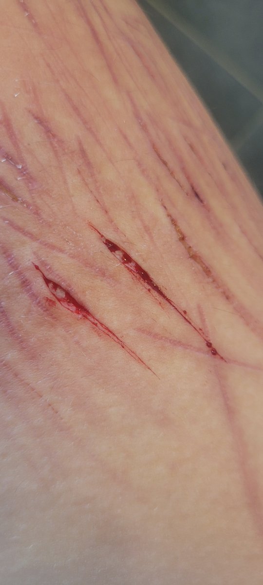 Kratos's wet ballsack tweet media