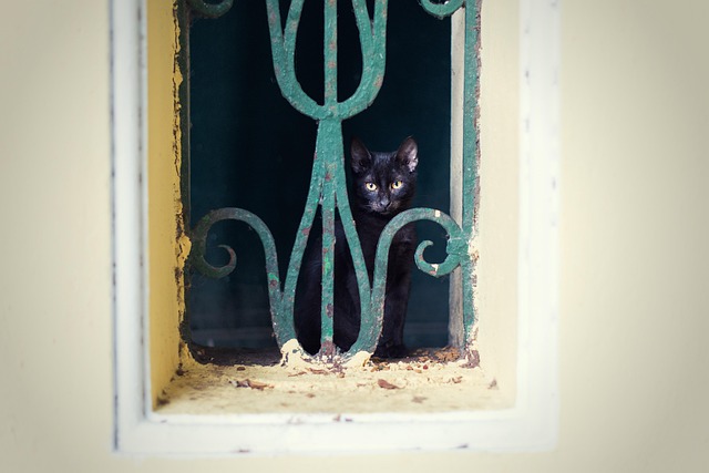 Jonathan Faucher tw15 tweet media