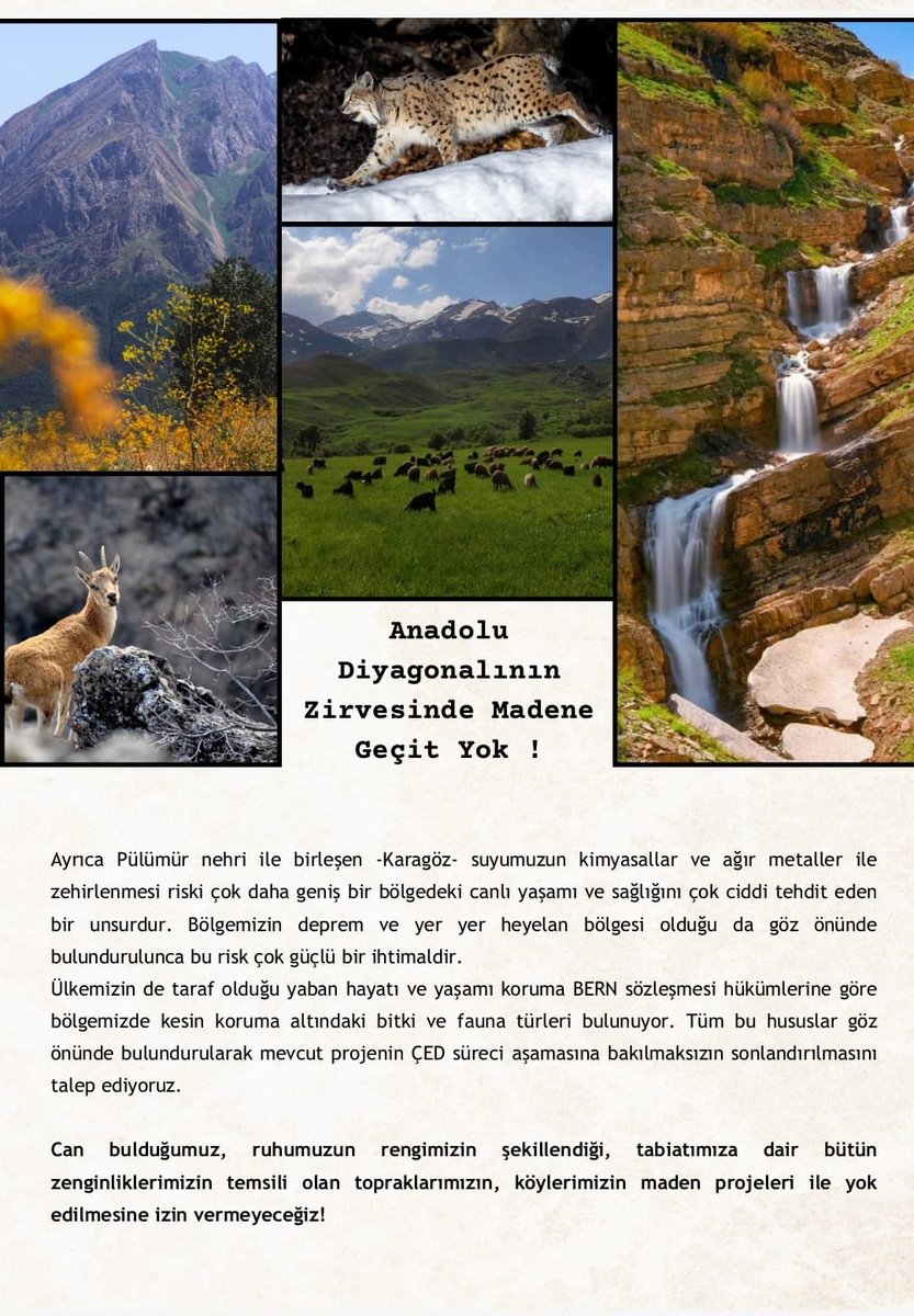 DKGDersim's tweet photo. Dersim Pülümür’de Maden Ocağına Hayır!

Dersim Pülümür’e bağlı Karagöz (Gurik) ve çevresinde planlanan krom madeni projesi; doğayı, suyu ve yaşamı doğrudan hedef alan açık bir çevre katliamıdır.

Pülümür ilçesine bağlı Karagöz (Gurik) köyü ve çevresinde, Dimin Madencilik San. ve Tic. A.Ş. tarafından açılması planlanan krom madeni projesi için yeniden ÇED süreci başlatılmıştır. Şirket, aynı proje için 2024 yılında da başvuruda bulunmuş; bölge halkının tepkisi nedeniyle süreç ilerleyememiştir. Buna rağmen proje bugün yeniden gündeme taşınmıştır.

Bu kapsamda 13 Nisan 2026 tarihinde İnceleme Değerlendirme Komisyonu (İDK) toplantısı yapılacaktır. Bu toplantı, projenin önünü açabilecek kritik bir aşamadır.

Projenin planlandığı alan, Mercan Dağları’nın devamı olan Hel Dağı ve çevresini kapsamaktadır. Bu bölge; güçlü su kaynakları, zengin bitki örtüsü ve yaban hayatıyla kritik bir ekolojik sistemin parçasıdır. Munzur havzasıyla olan bağlantısı, burada yapılacak müdahalenin etkisinin tek bir noktayla sınırlı kalmayacağını açıkça ortaya koymaktadır.

Bu nedenle burası yalnızca korunması gereken bir doğa parçası değil; aynı zamanda üretimin ve geçimin sürdüğü bir yaşam sahasıdır. Karagöz (Gurik) ile birlikte Kocatepe, Dağbek, Çakırkaya, Boğalı, Dereboyu ve Kovuklu köylerinin yaylaları bu bölgede yer almakta; yaz aylarında yoğun hayvancılık yapılmaktadır. Çevre ilçelerden gelen ailelerin de bu alanda üretim yaptığı düşünüldüğünde, bu bölge doğrudan bir geçim kaynağıdır.

Bu coğrafya yalnızca bir doğa ve üretim alanı değil; aynı zamanda Dersim inanç dünyasının bir parçasıdır. Bu nedenle burada yapılacak her müdahale, yalnızca doğaya değil, bir inanç ve hafıza alanına da yönelmektedir.

Arıcılık faaliyetleri de bu coğrafyanın temel üretim biçimlerinden biridir. Bitki çeşitliliği, bal üretiminin niteliğini belirlemekte ve bu ekosistemi özgün kılmaktadır.

Bilimsel çalışmalar, Pülümür ve çevresinin endemik bitki türleri açısından yoğun bir alan olduğunu ortaya koymaktadır. Bu bölge, Anadolu diyagonalinin önemli ekolojik geçiş hatlarından biri olup, çok sayıda endemik tür ile koruma altındaki yaban hayvanlarına yaşam alanı sağlamaktadır.

Tam da bu nedenle planlanan madencilik faaliyetleri, yalnızca yer altını değil, bu alanın üstünde var olan bütün yaşamı hedef almaktadır. Yapılacak kazı ve patlatmalar, ağır iş makineleri, oluşacak toz ve atık süreçleri; suyu kirletecek, toprağı bozacak, bitki örtüsünü yok edecek ve yaşam alanlarını geri dönülmez biçimde parçalayacaktır.

Karagöz suyu ile Pülümür Nehri arasındaki bağlantı dikkate alındığında, ağır metal ve kimyasal kirlilik yalnızca bu bölgeyle sınırlı kalmayacak; daha geniş bir coğrafyada canlı yaşamını doğrudan tehdit edecektir. Bölgenin deprem ve yer yer heyelan riski taşıyan yapısı bu yıkımın etkisini daha da büyütecektir.

Bu proje yalnızca doğaya yönelik bir müdahale değil; bu coğrafyada süren üretimin, geçimin ve varoluşun ortadan kaldırılmasıdır.

Pülümür’de, Karagöz (Gurik) ve çevresinde maden ocağına izin vermiyoruz.

TALEPLERİMİZ

• Proje iptal edilsin.
• ÇED süreci derhal durdurulsun.
• Bölge halkının iradesi yok sayılamaz.
• Bu coğrafyada madencilik yapılamaz.
• Bu coğrafya madencilik faaliyetlerine kapatılmalıdır.

Bu talepler doğrultusunda projenin derhal iptal edilmesini talep ediyoruz.

Dersim’in doğası, suyu ve yaşam alanları yok edilemez.

Dersim Kültür ve Tarih Merkezi (DKG)
1 Nisan 2026

#Pülümür #Dersim #Munzur
#MadeneHayır #DoğaKatliamı #DoğayıKoru
#MadenOcağınaHayır #PülümürdeMadenİstemiyoruz #MadeneGeçitYok
#YaşamAlanlarınaDokunma
#EndemikÇeşitlilikVarMadeneYerYok
#AnadoluDiyagonalindeMadeneGeçitYok