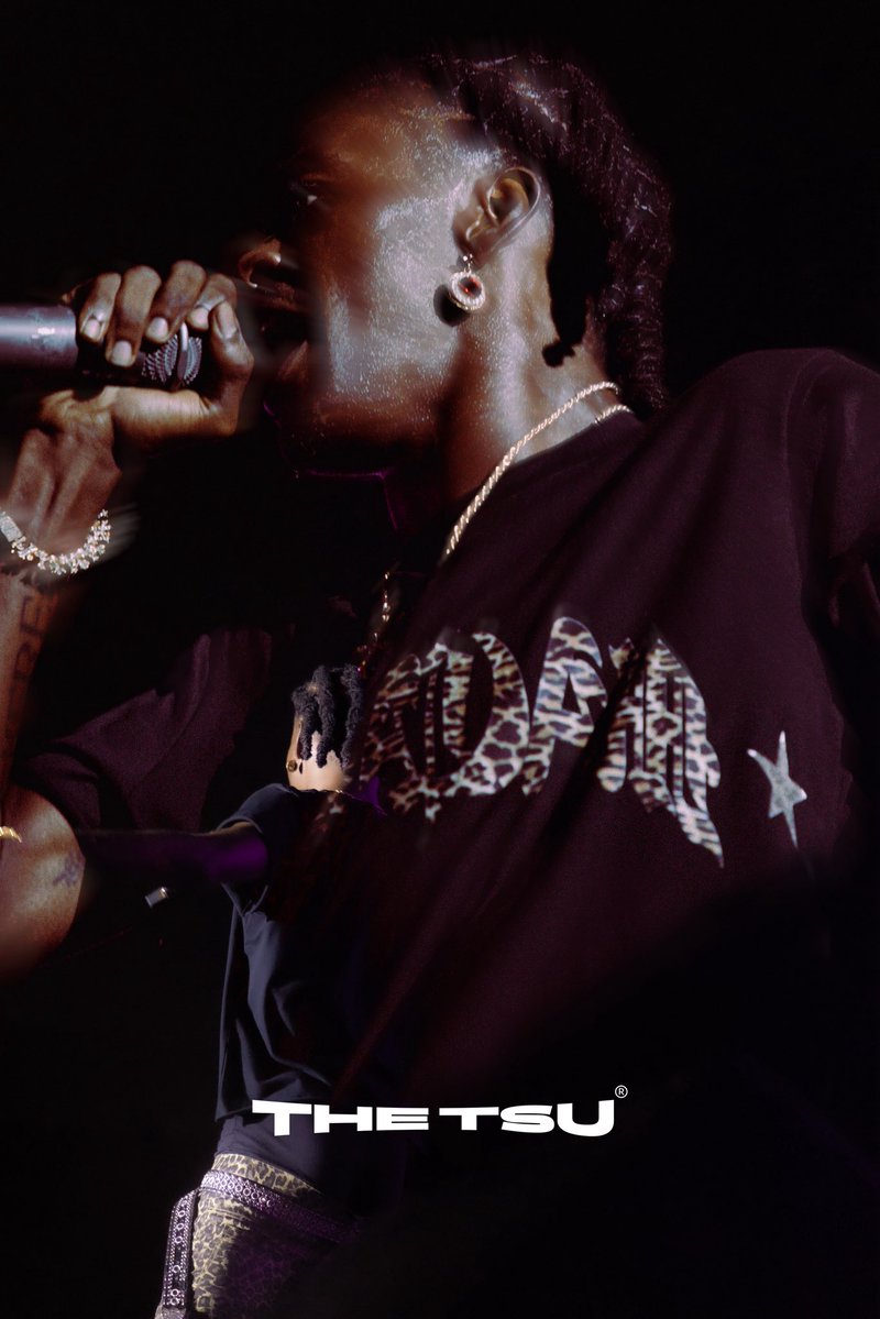 the⟡tsu tweet media