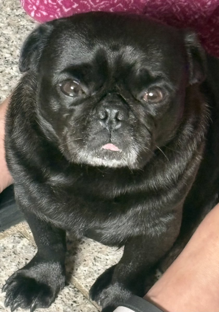 Kasper 🦇 tweet media