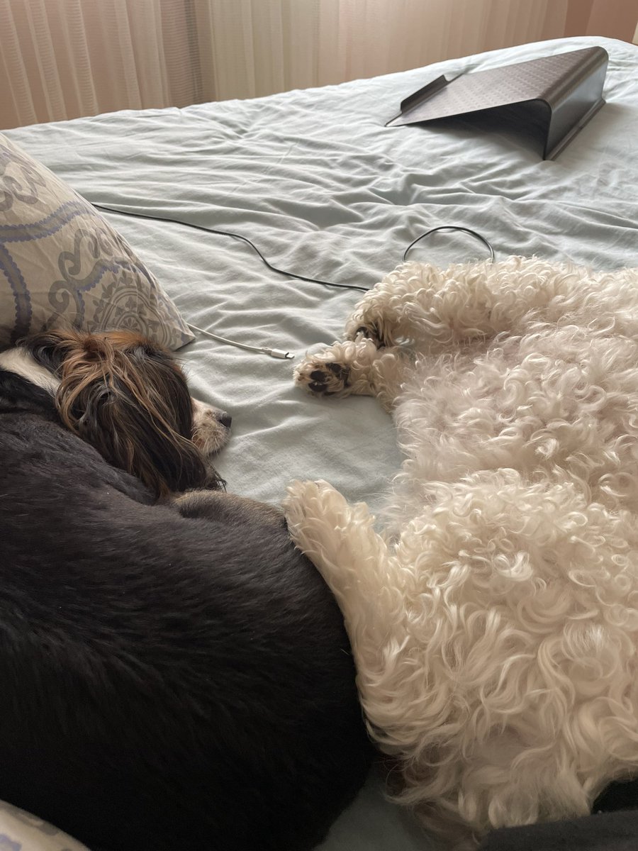 Patisiz olmaz tweet media