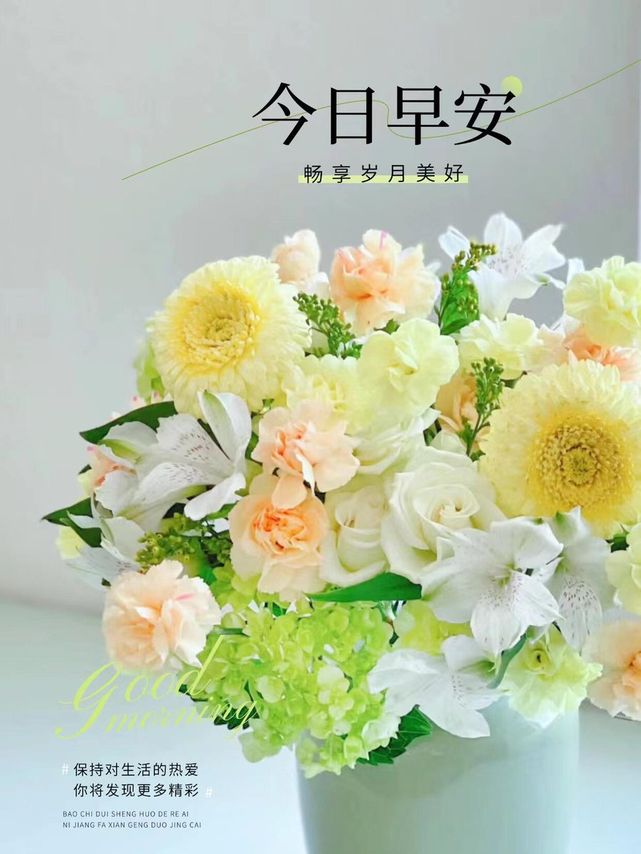 Devon Chi Lu tweet media