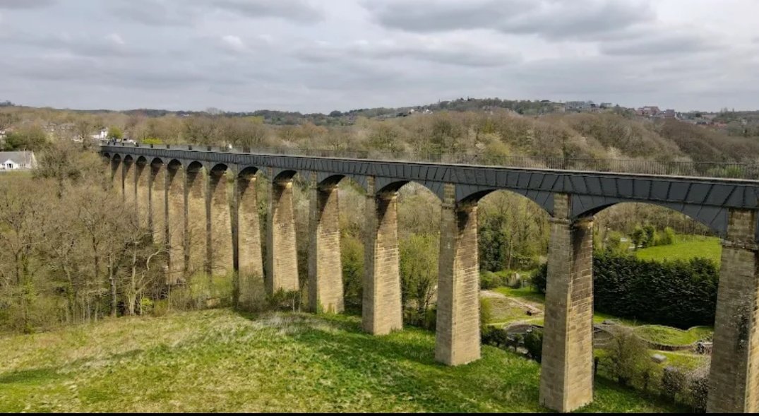 Susan Guy tweet media