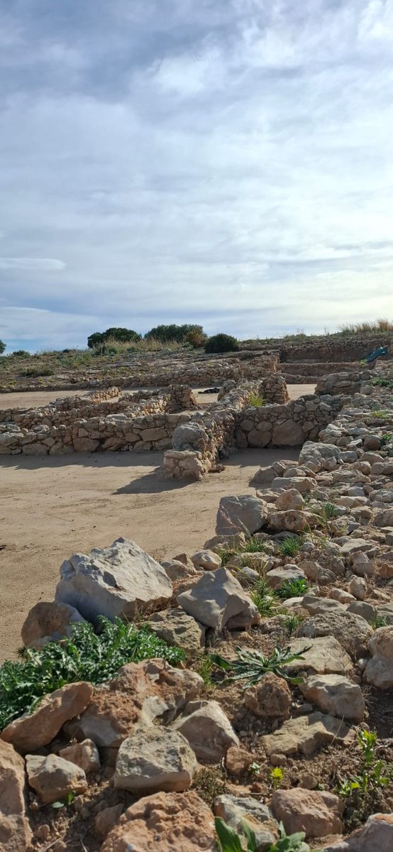 iberapt's tweet photo. 📍Comencem aquest cap de setmana:
🏛️ Dissabte 4 - La Cella - Kallipolis 11h (català)
🏺 Diumenge 5 -  Vill·la de Barenys 11h (castellà)

🎟️ Reserva prèvia necessària: https://t.co/rCfNcIMVAE

✨ Us esperem!

#salou #kallipolis #arqueologia #iber #CostaDaurada https://t.co/GOZznrvwiu