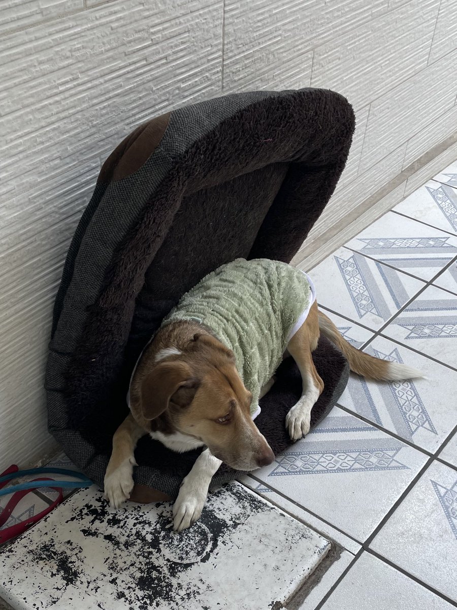 mary boone tweet media