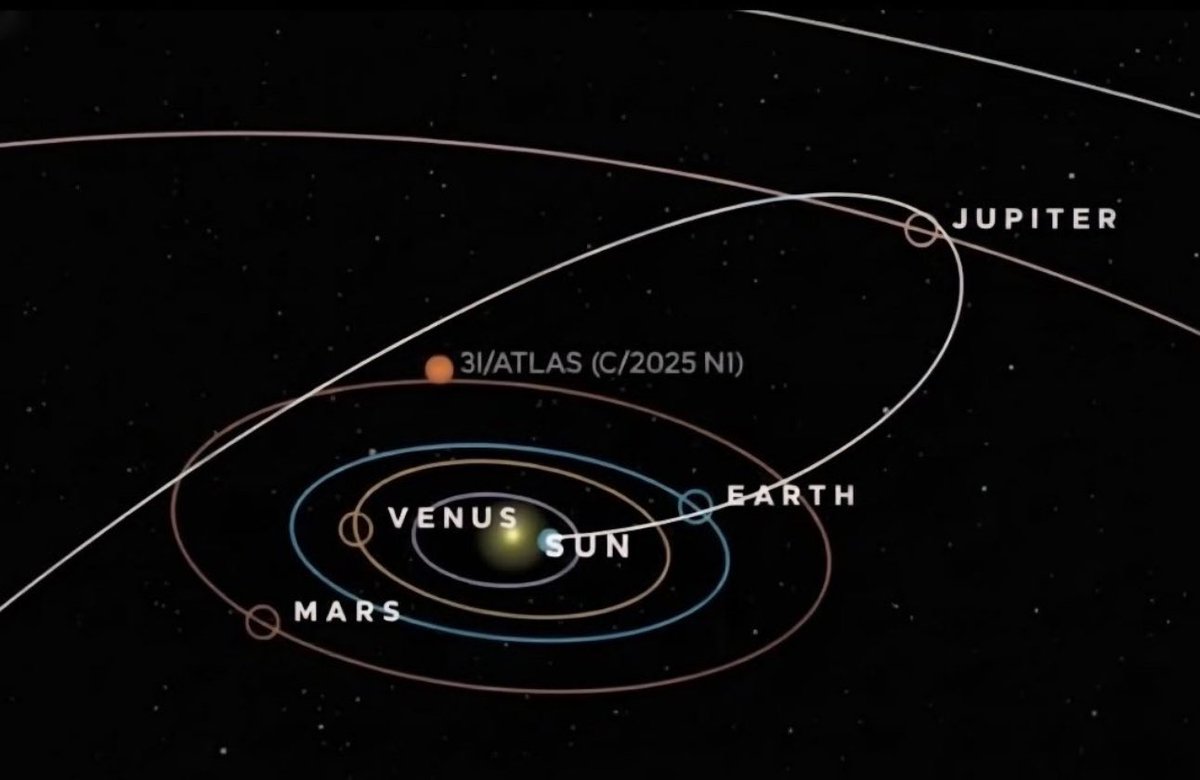 Drew Doss tweet media
