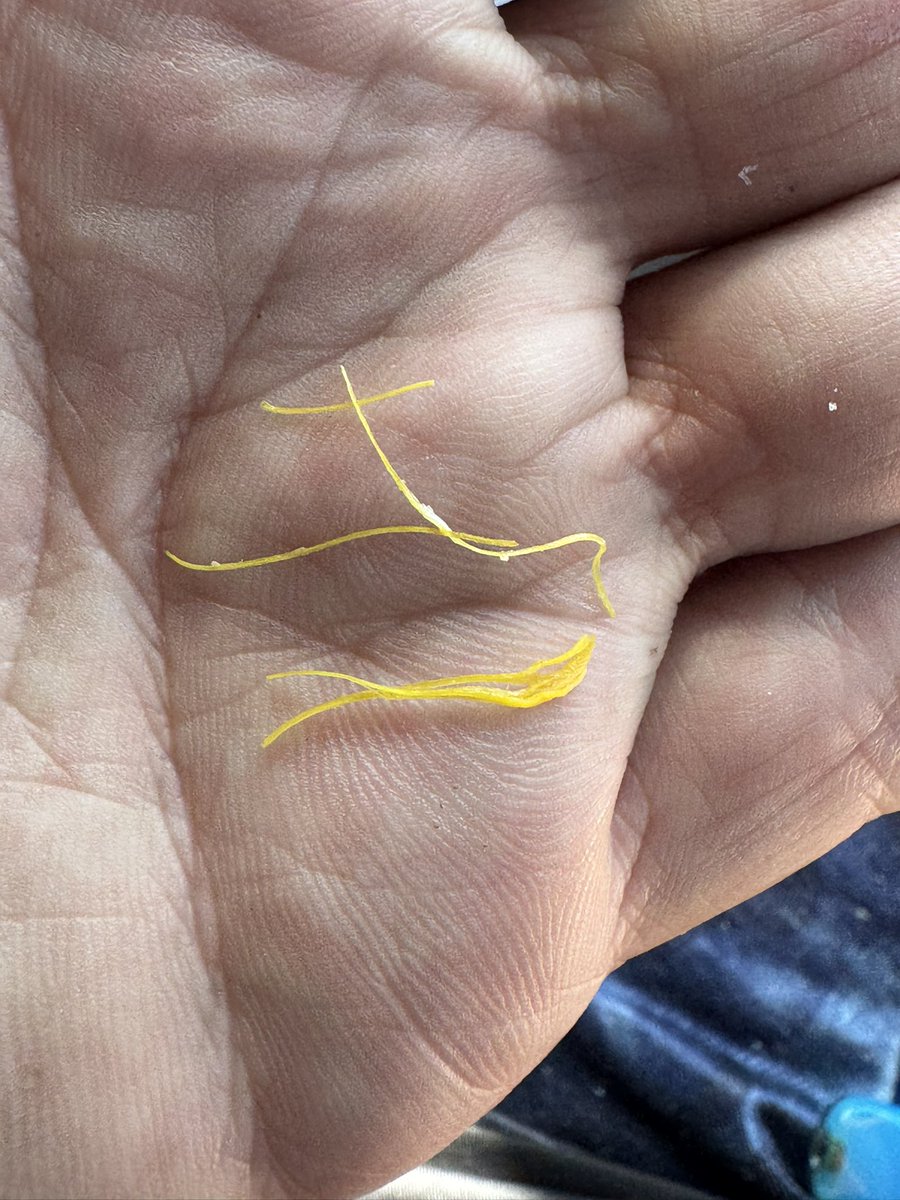 MoneyShotYourMom tweet media