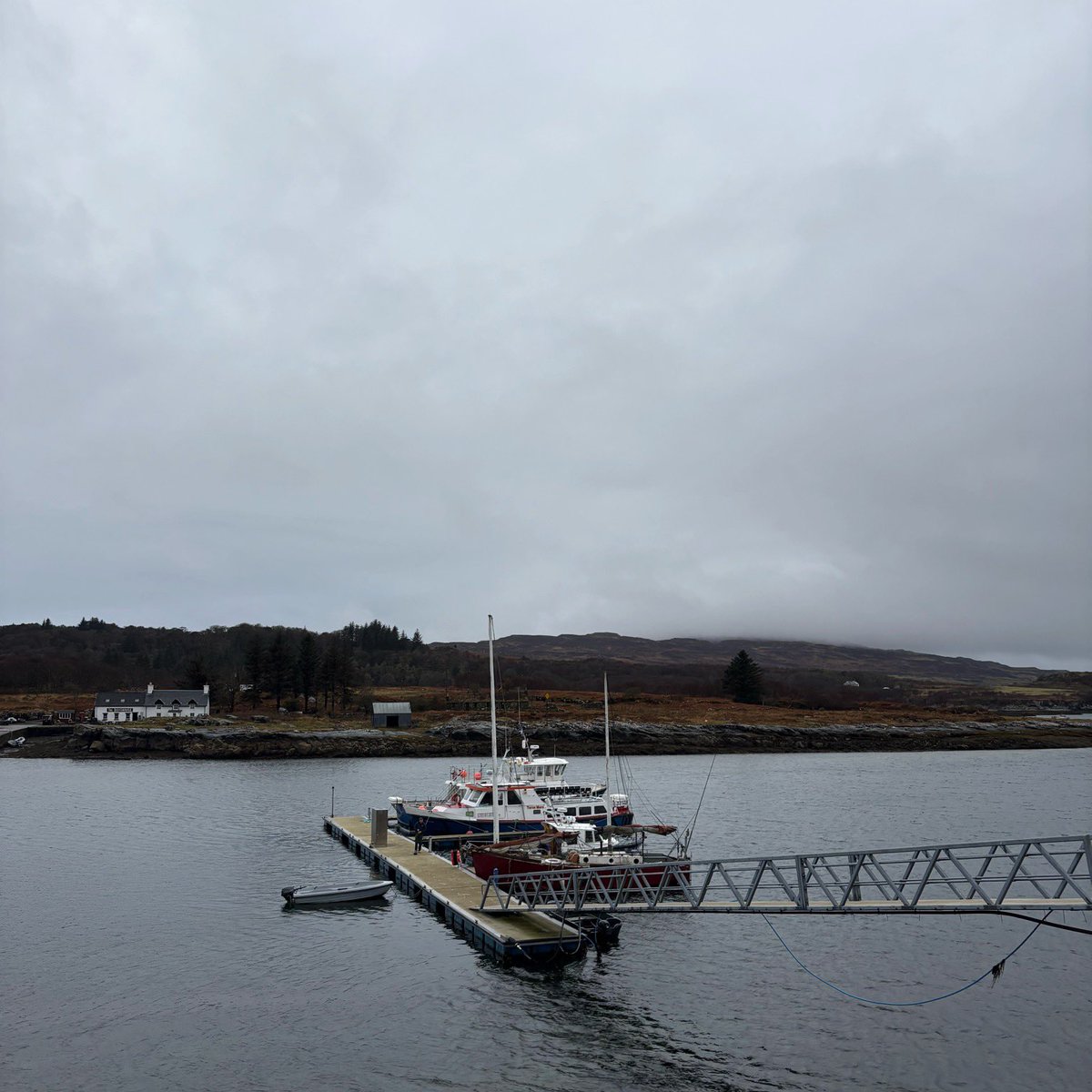 минький tweet media