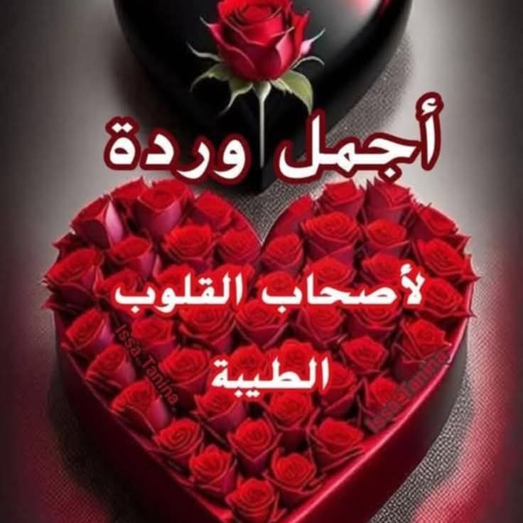 ليالى_العمر tweet media