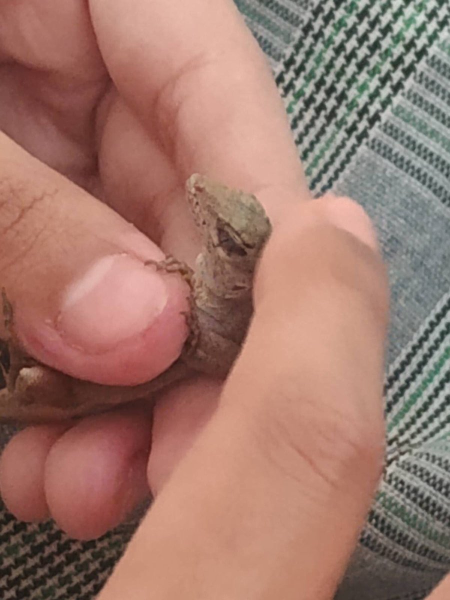 𖦹 Yuno ๑˙ ! tweet media