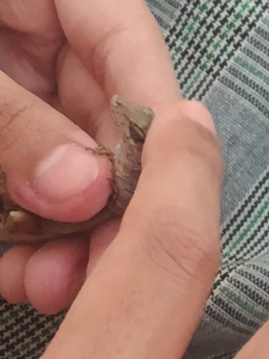 𖦹 Yuno ๑˙ ! tweet media