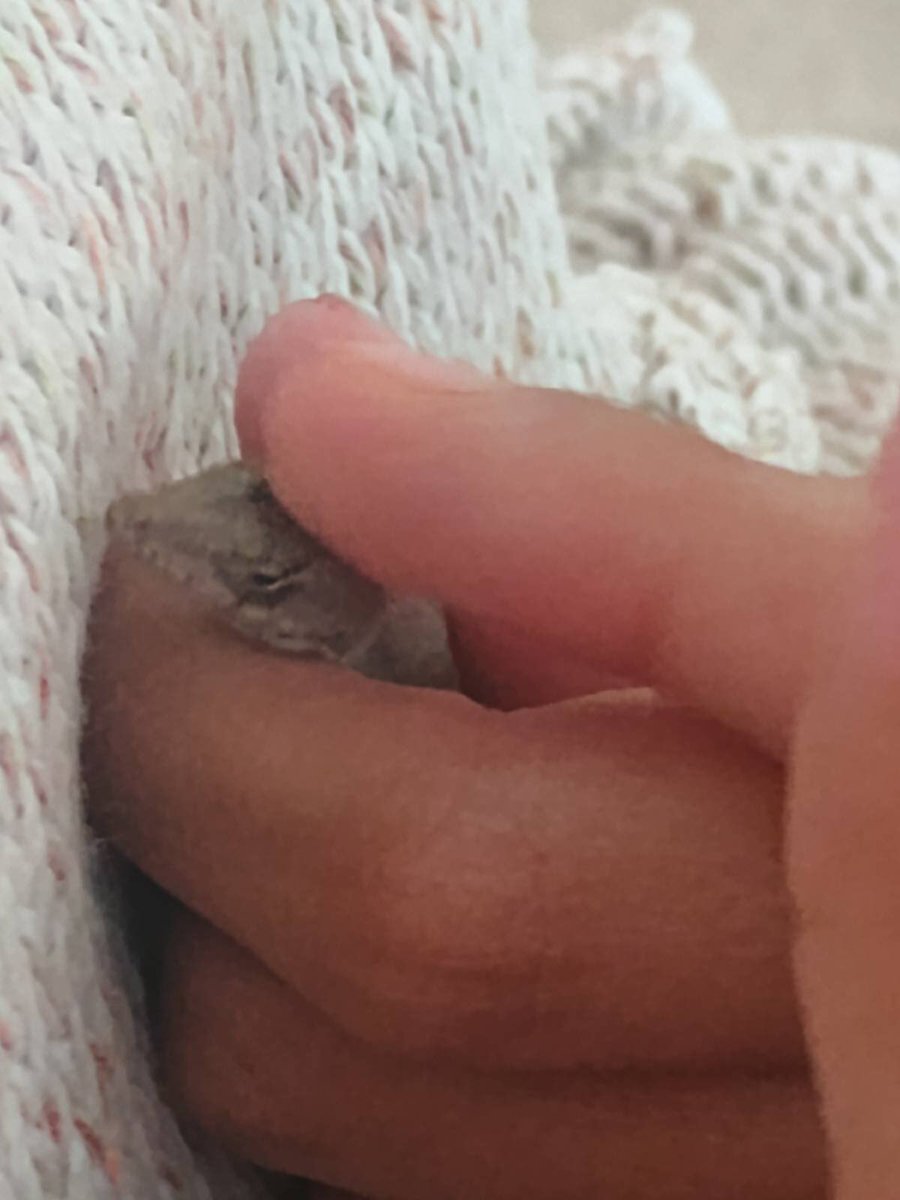 𖦹 Yuno ๑˙ ! tweet media