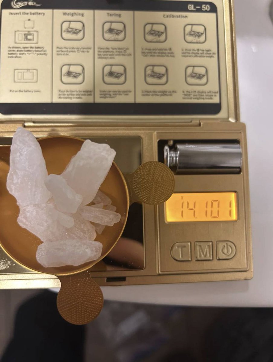 BEAR ICE tweet media