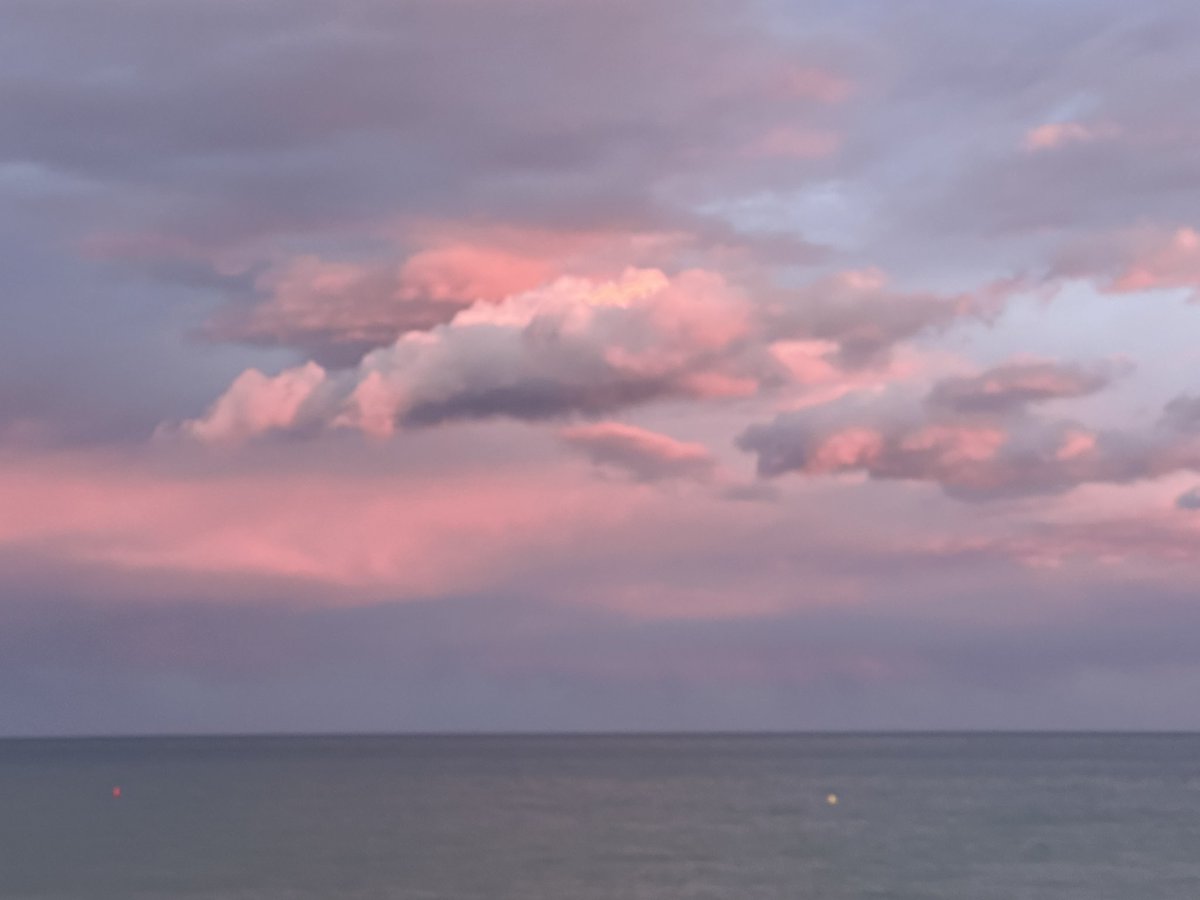 Albert Velasco tweet media