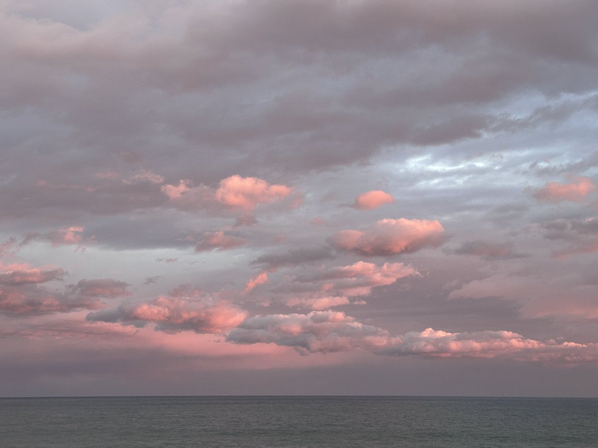 Albert Velasco tweet media