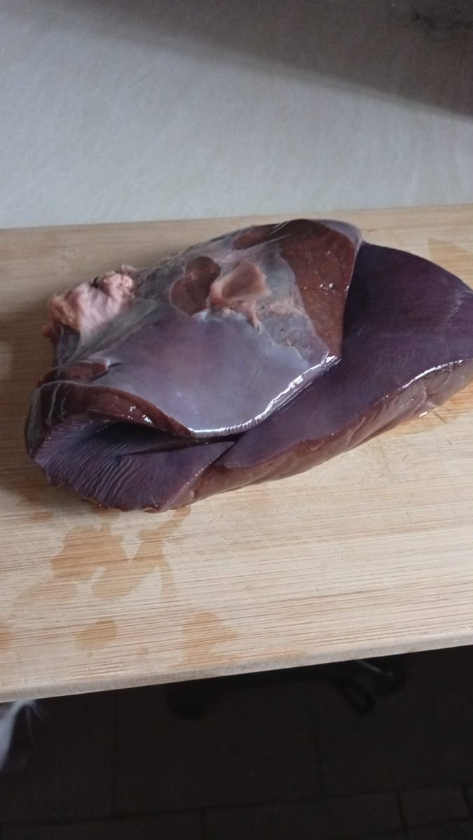 ghost 👻 tweet media