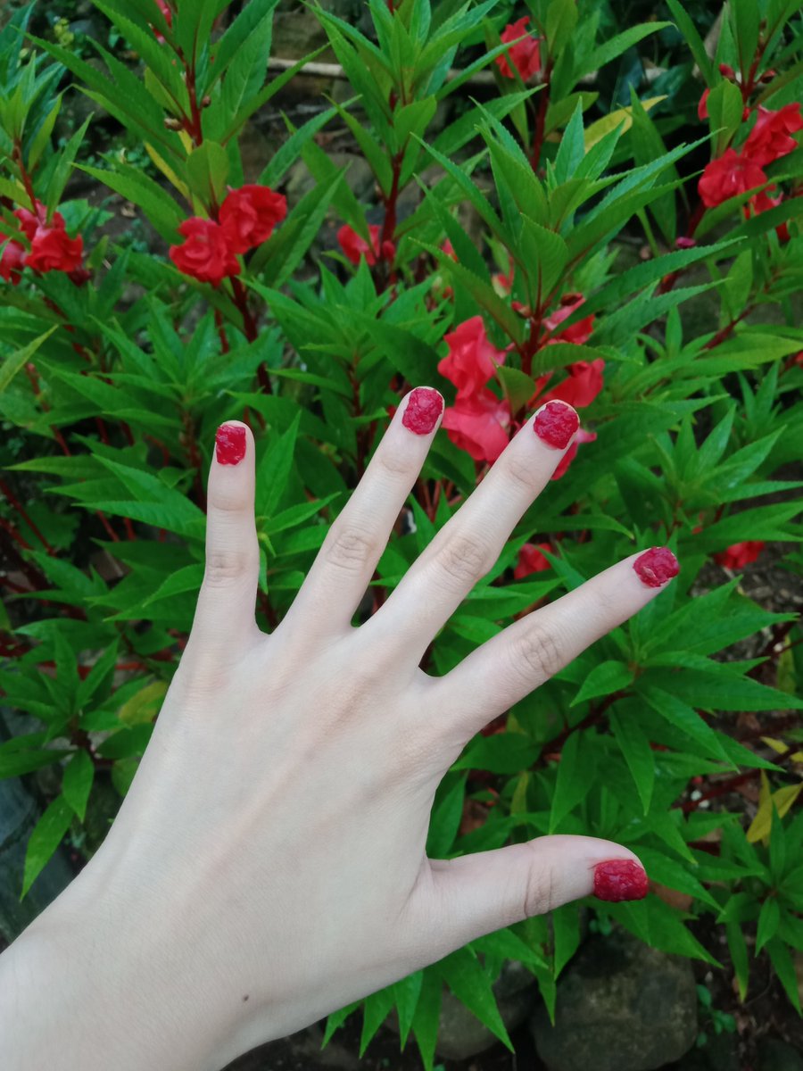 Lea the Lobster tweet media