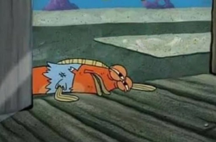 Chizzy Bee 🐝 tweet media