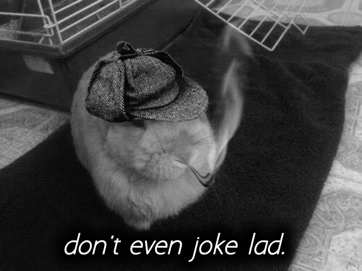 .🔫😎👍 tweet media