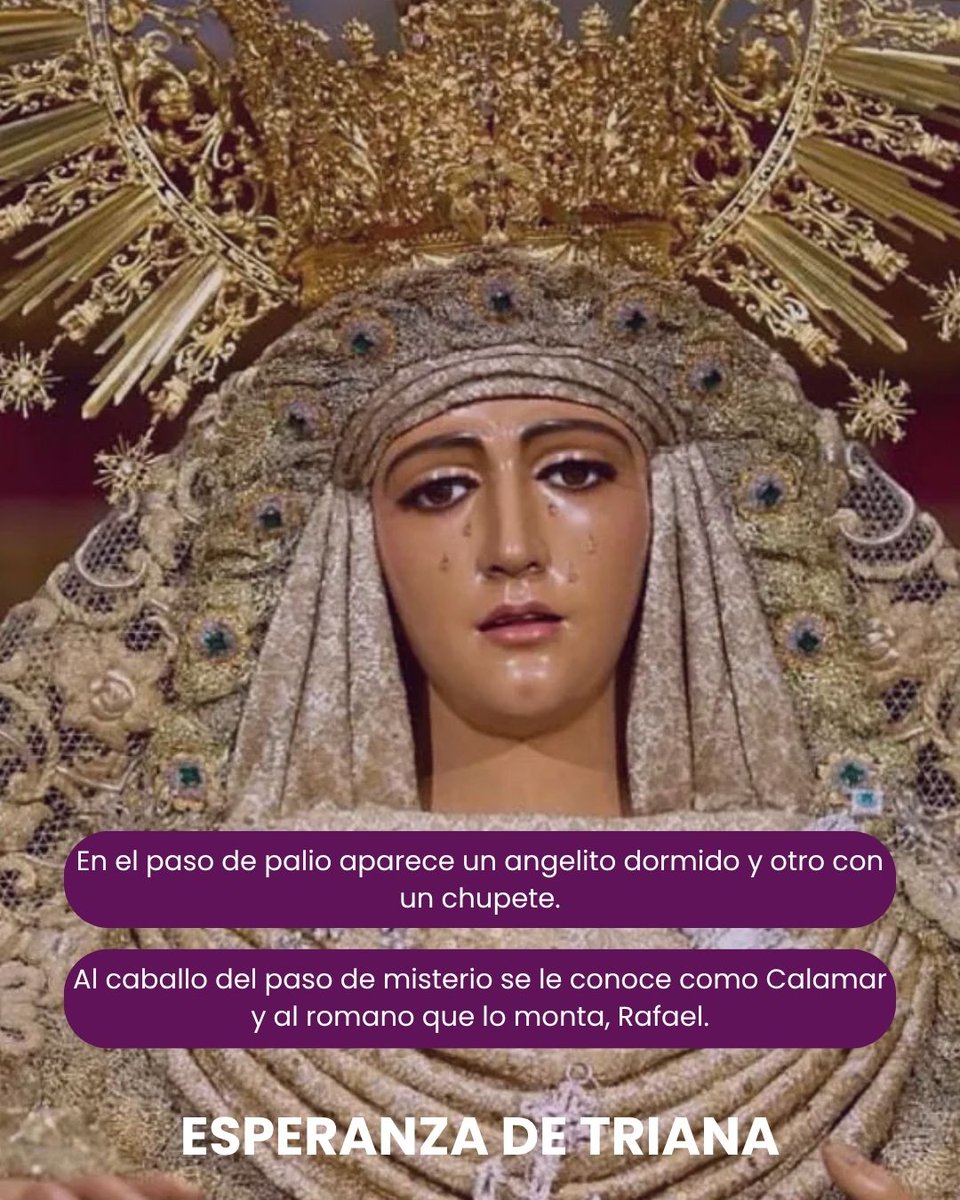 Past View Experience tweet media