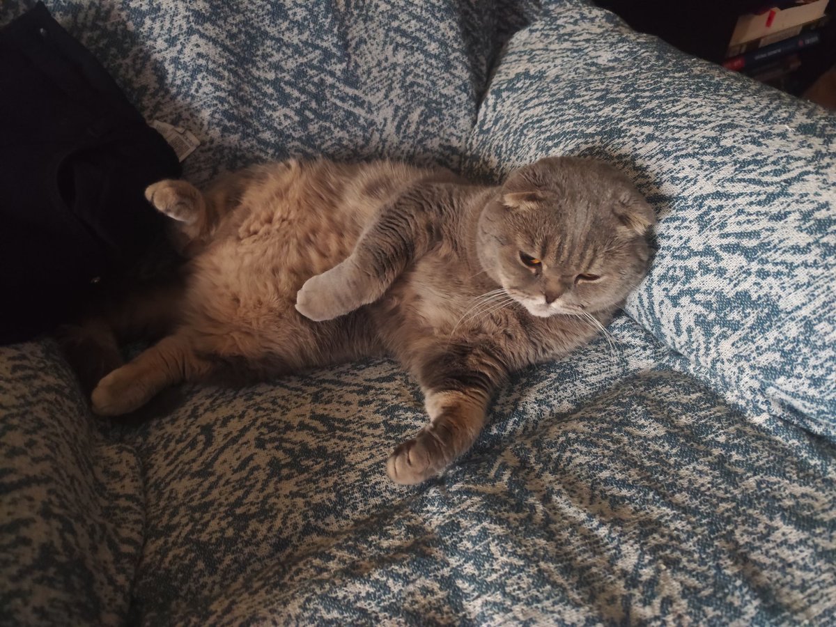 stargirl cheetos tweet media