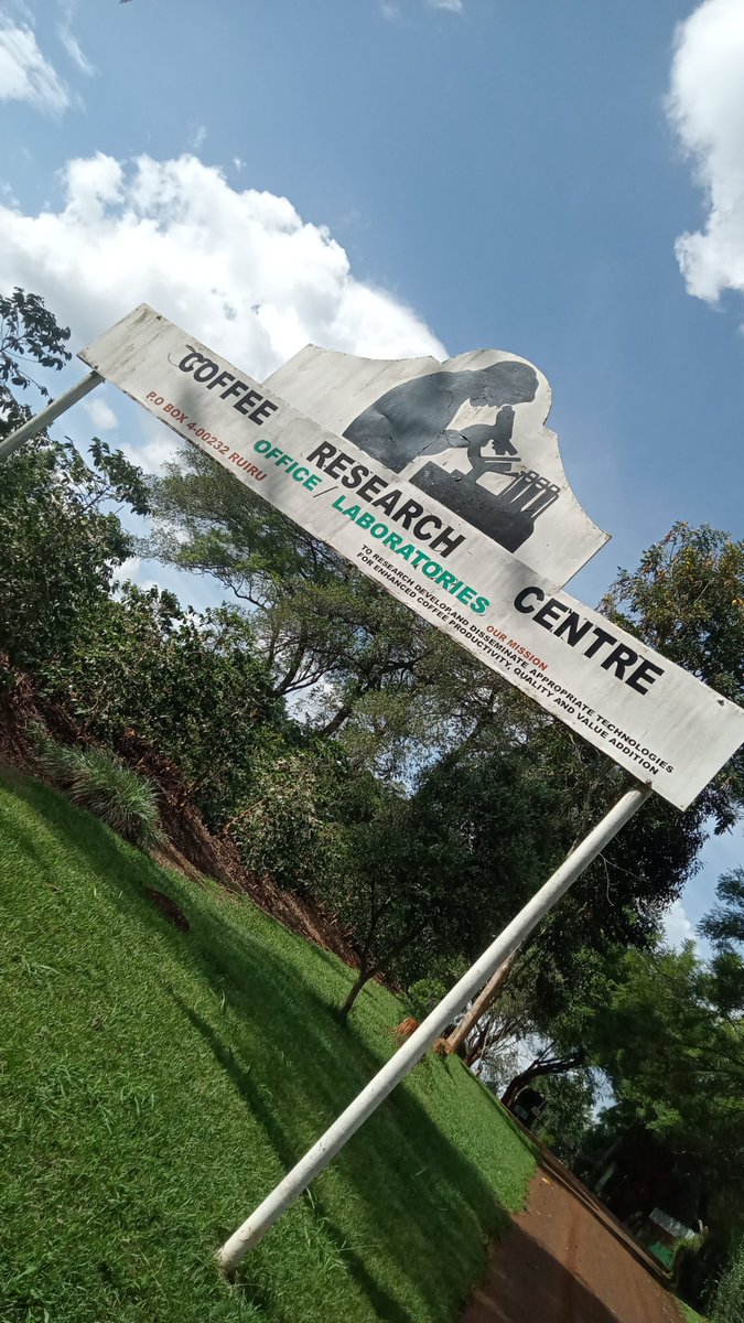 ᴳⁱⁿⁱ ᵐⁱᵗ tweet media