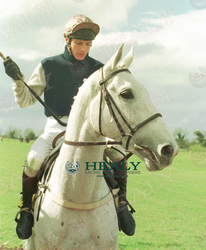 Pat Healy tweet media