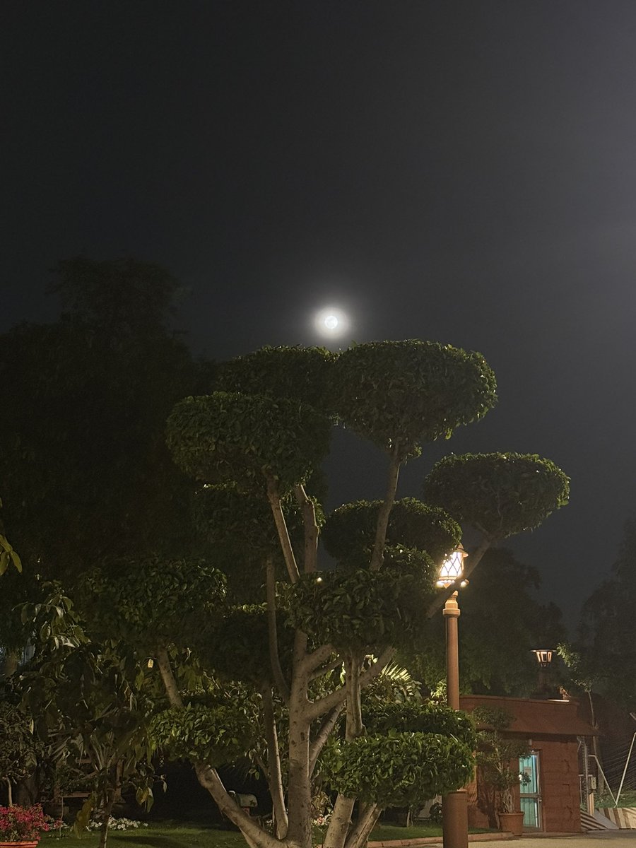 Neeta Sharma tweet media