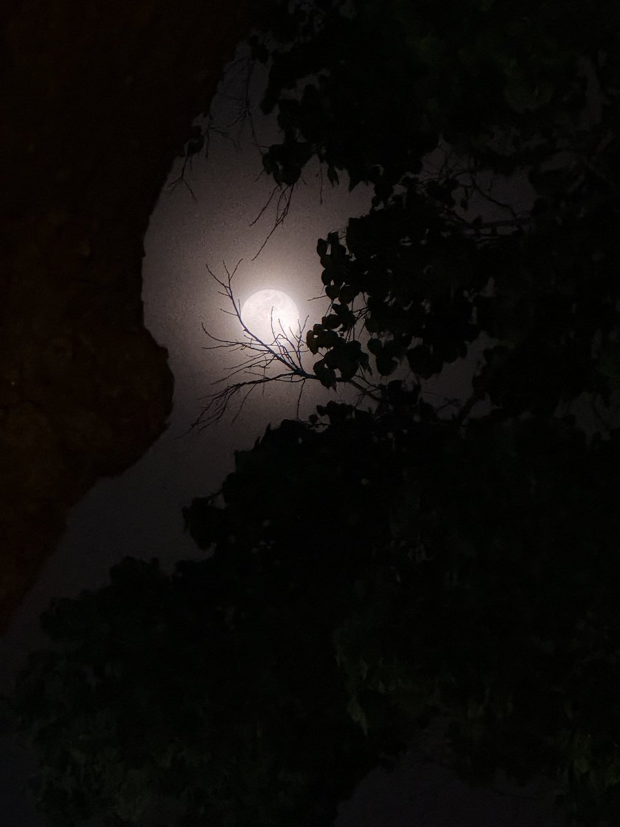 Neeta Sharma tweet media