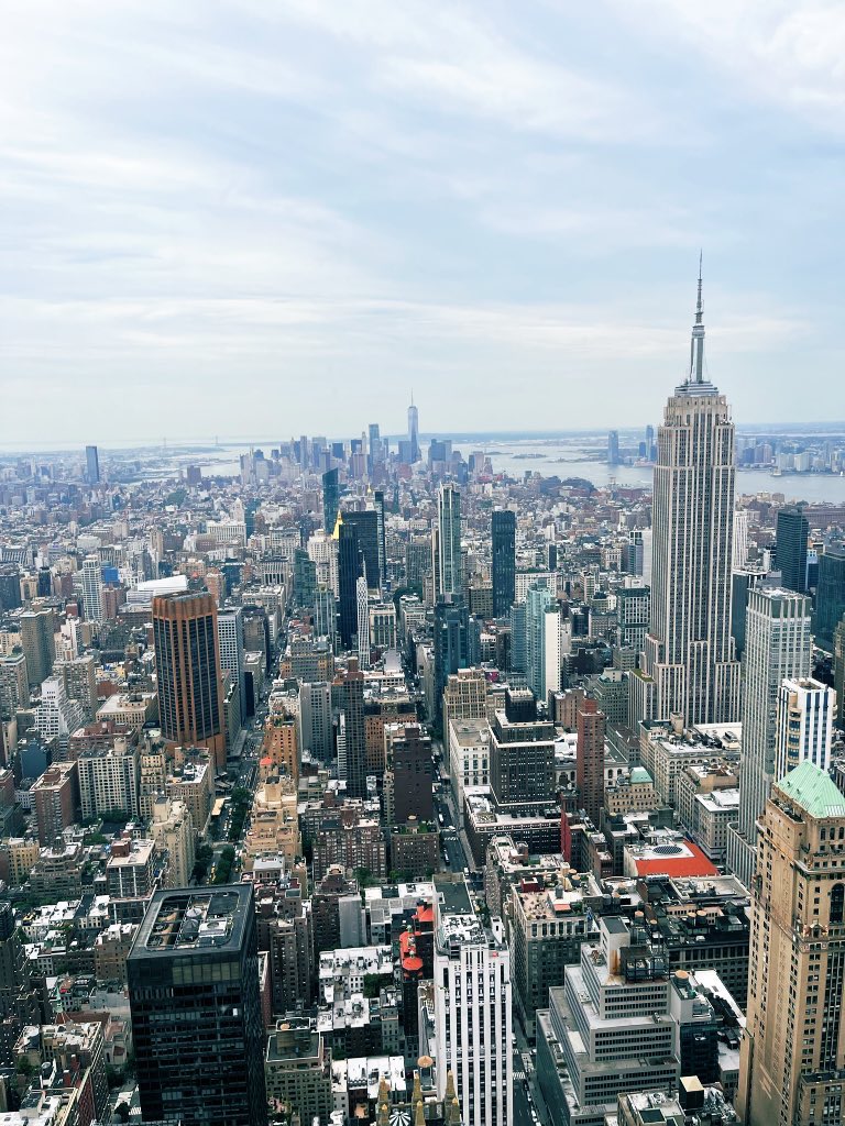 JoseMijangos tweet media