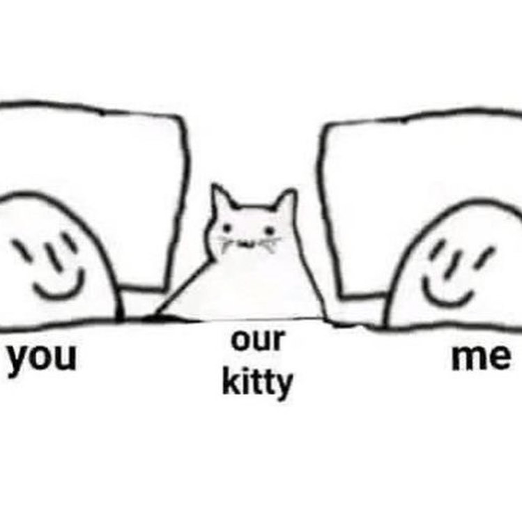 Punch Cat tweet media