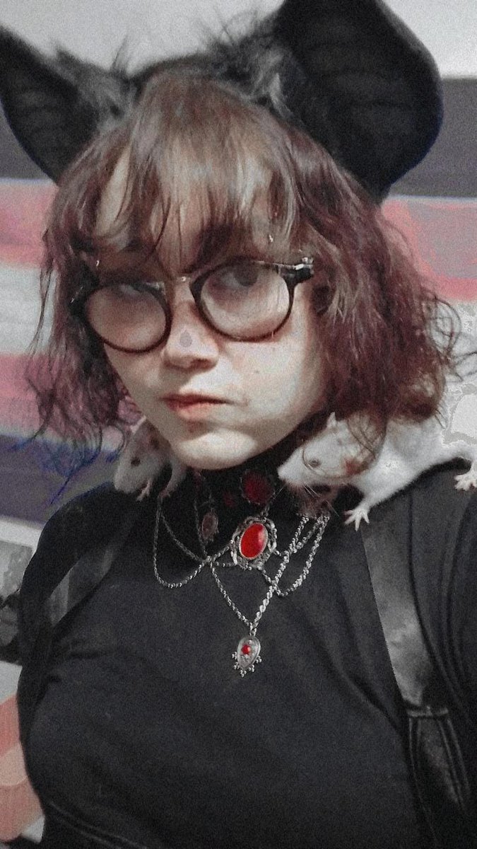 leliel moon-and-star🦇🏳️‍⚧️ tweet media