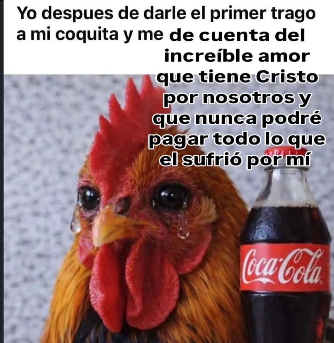 Maestre Mapaxito (@mapaxitouwu) on Twitter photo 