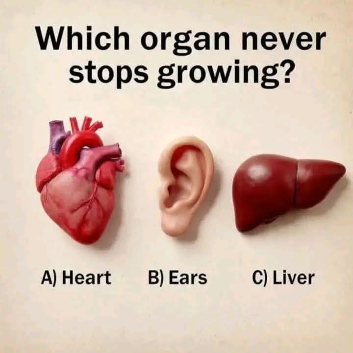 Nimra Shahzadi ❣️ tweet media