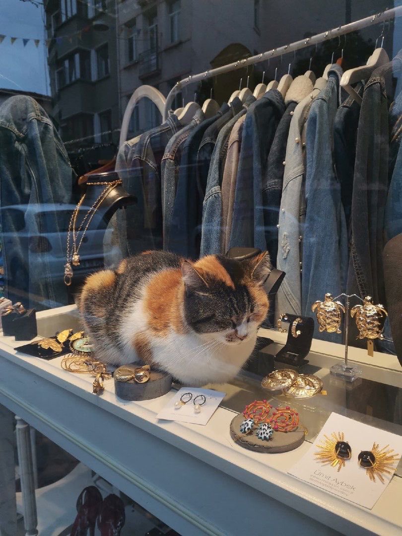 🤍tokyo🤍 tweet media