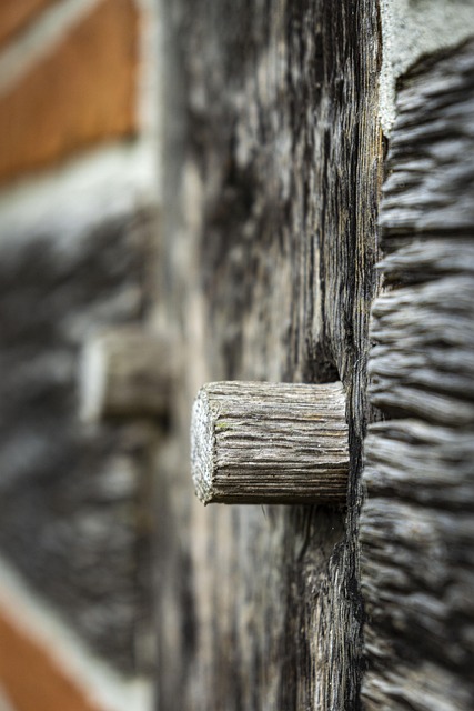 Melissa Scott tweet media